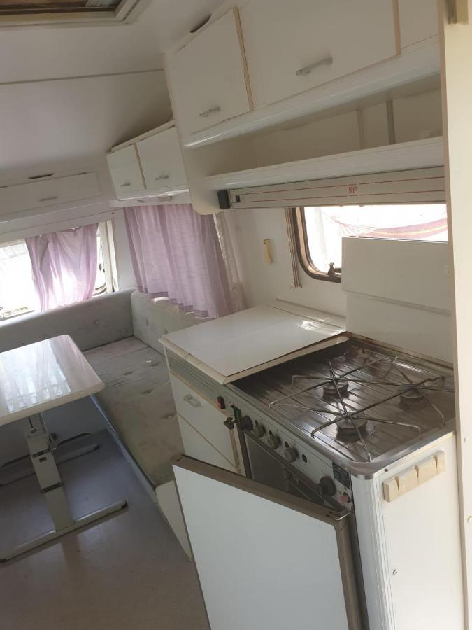 Campsite Aquariumi Jale *