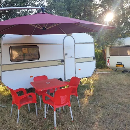 Aquariumi Jale Camping Exteriér fotografie