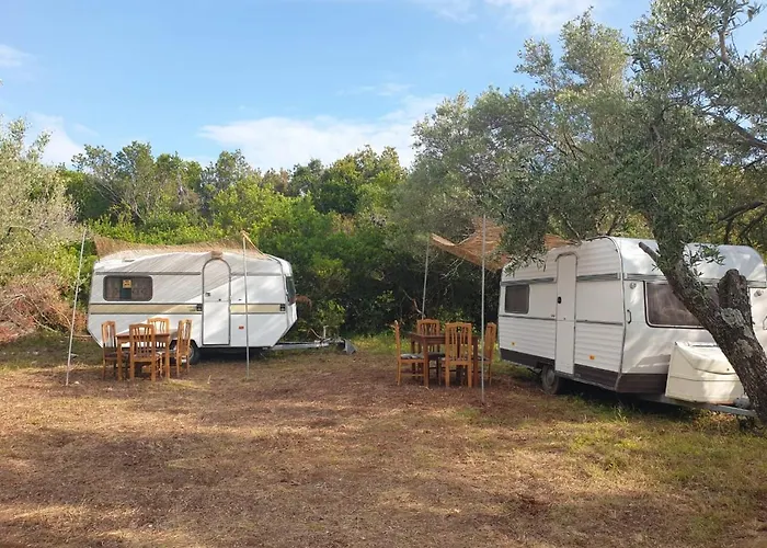 Aquariumi Jale Camping