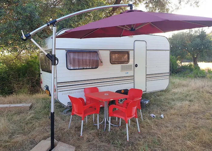 Aquariumi Jale Camping