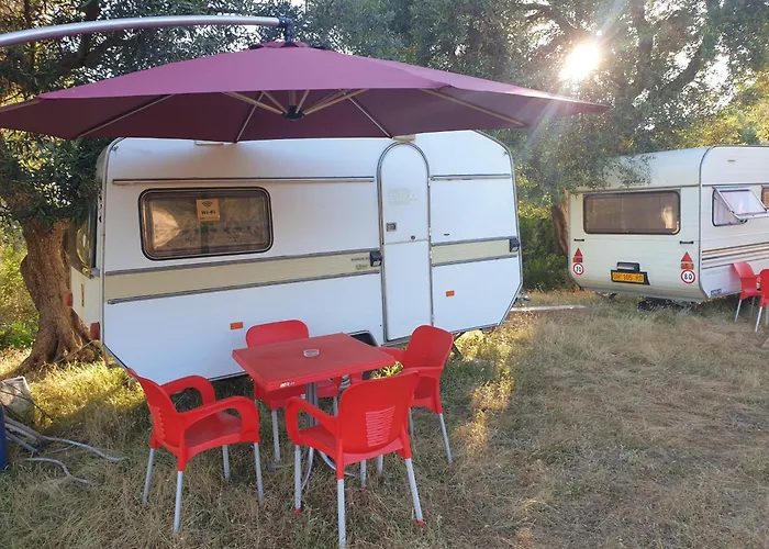 Aquariumi Jale Camping