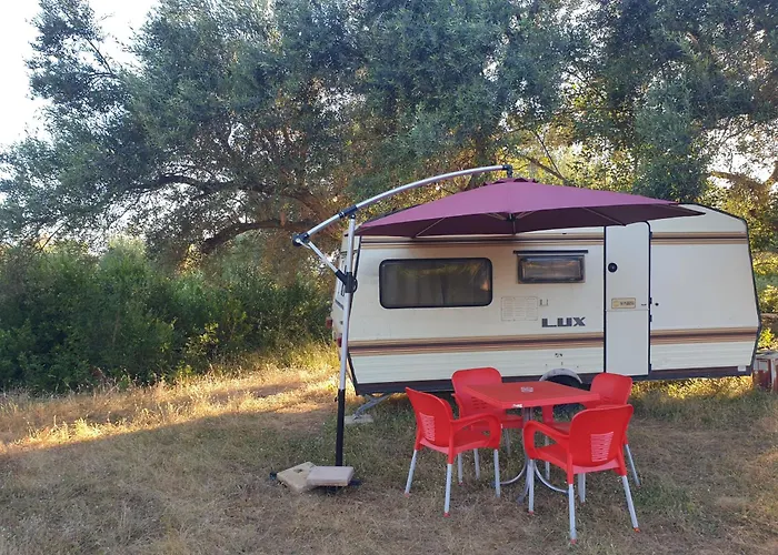 Aquariumi Jale Camping