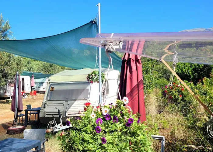 Aquariumi Jale Camping
