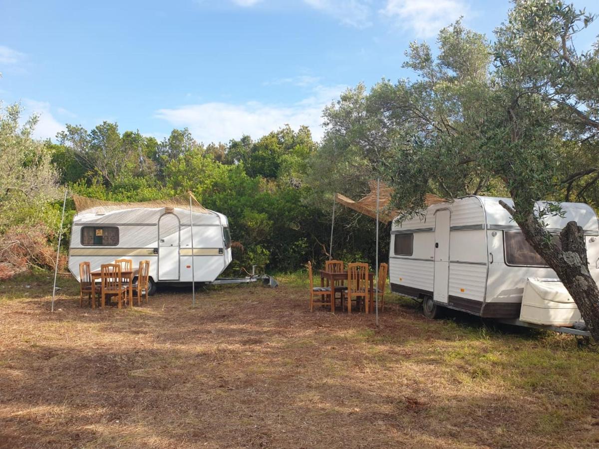 Aquariumi Jale Campingplatz Jal