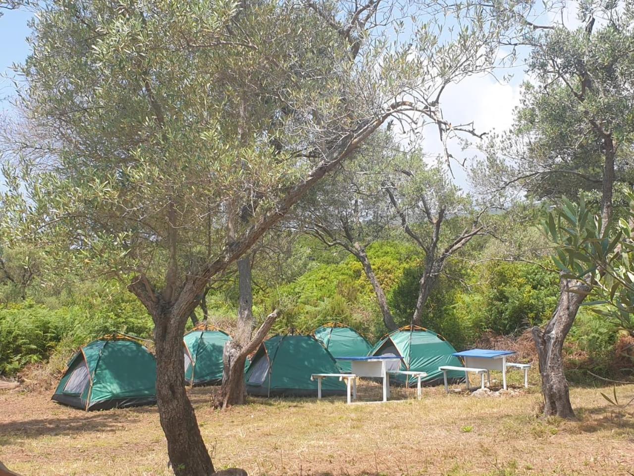 Campsite Aquariumi Jale